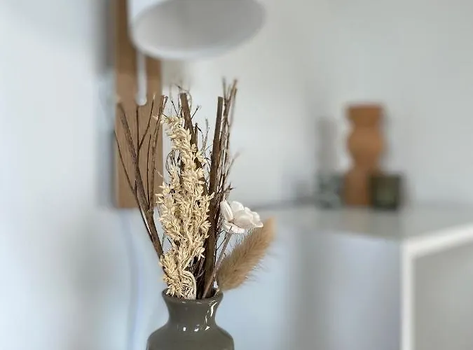 Appartement Le De La Noire Choque - Bain Nordique Audembert