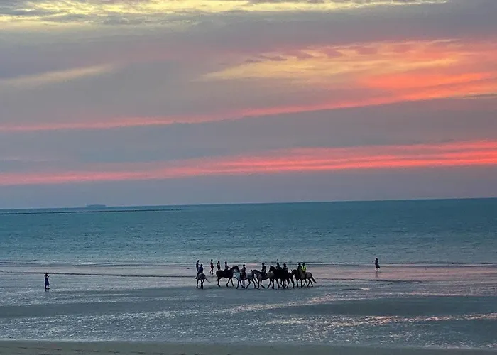 Appartement Le De La Noire Choque - Bain Nordique *