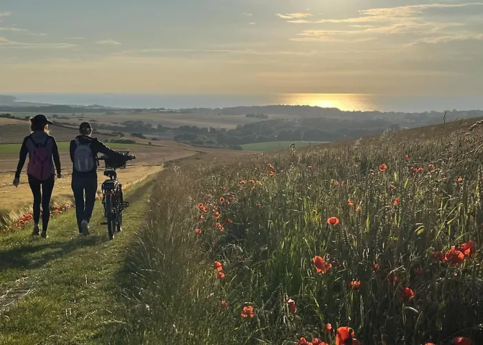 Appartement Le De La Noire Choque - Bain Nordique Audembert